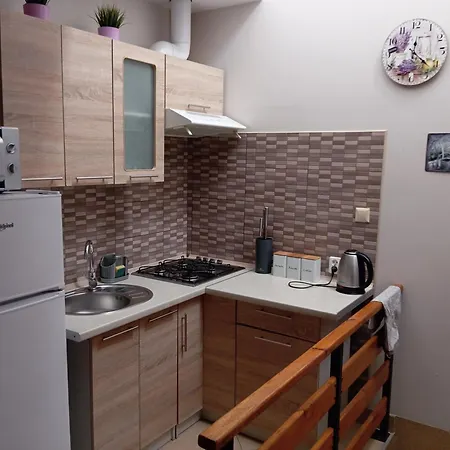 Zacisze Apartment Rozalin Exterior photo
